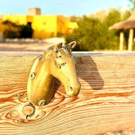 Appartamento Eco-Ranch Salome Sidi Kaouki Esterno foto