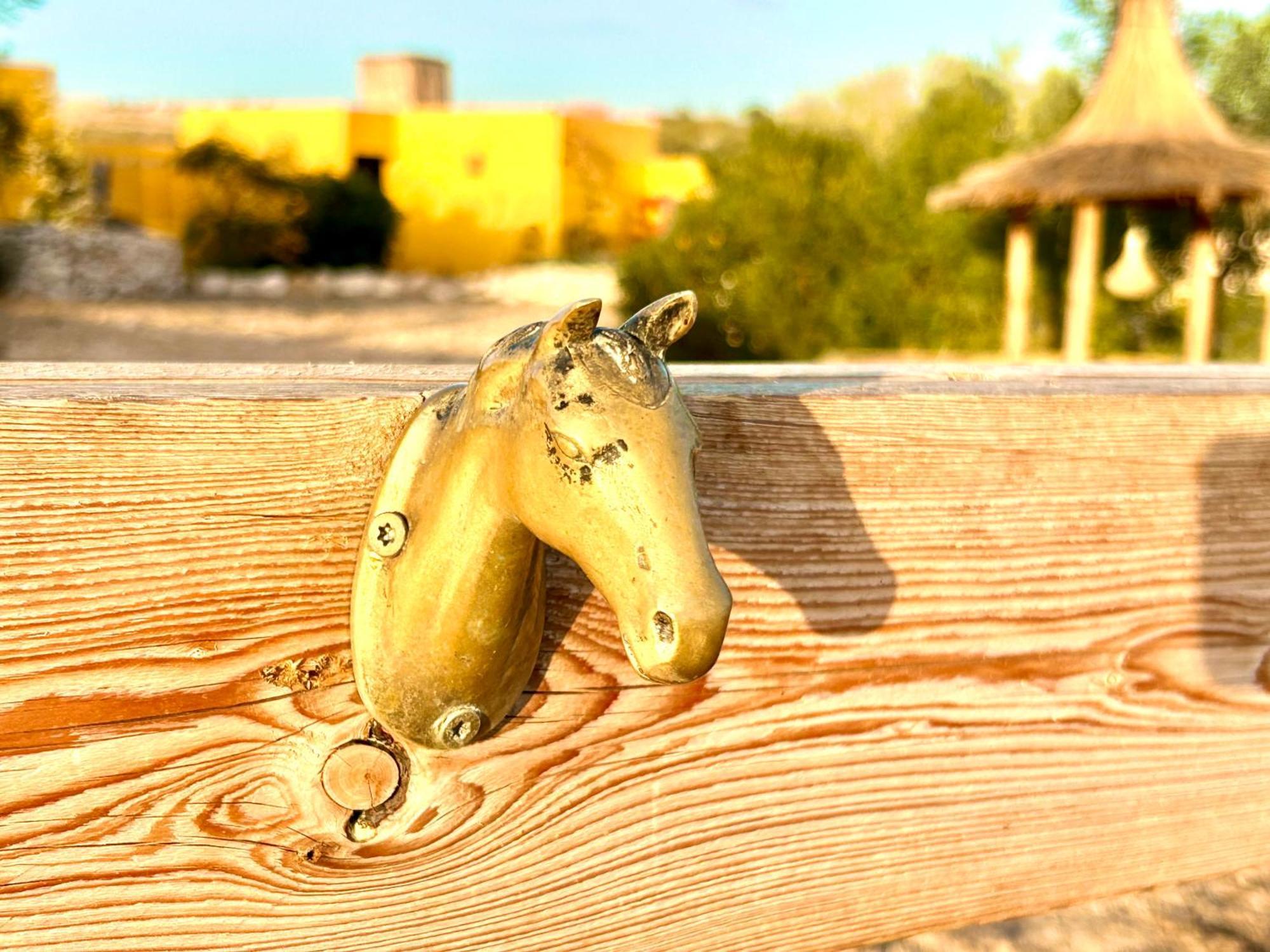 Appartamento Eco-Ranch Salome Sidi Kaouki Esterno foto